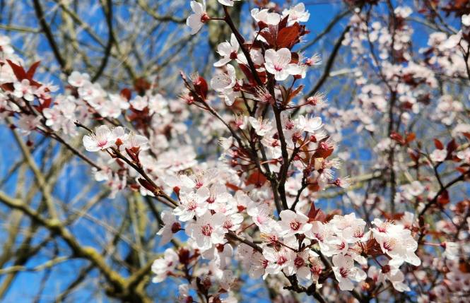 Geniet van de meivakantie!